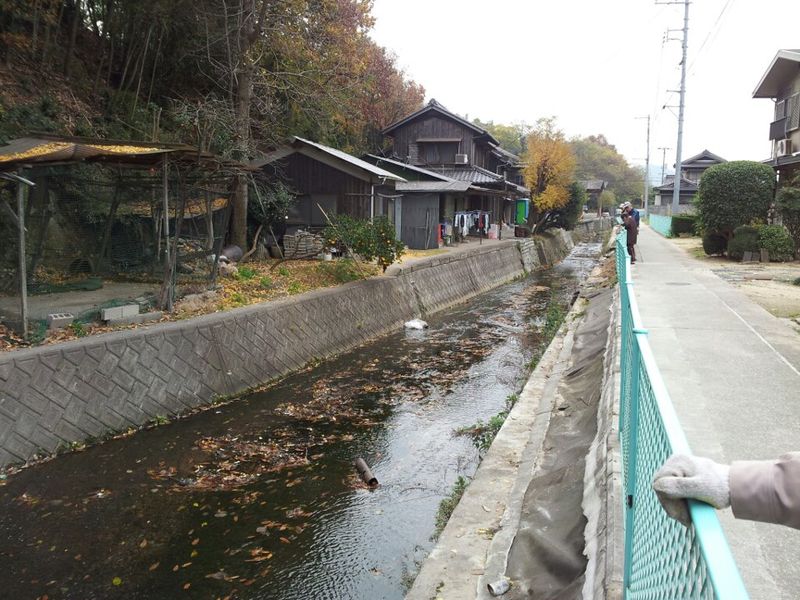 20111212odagawa
